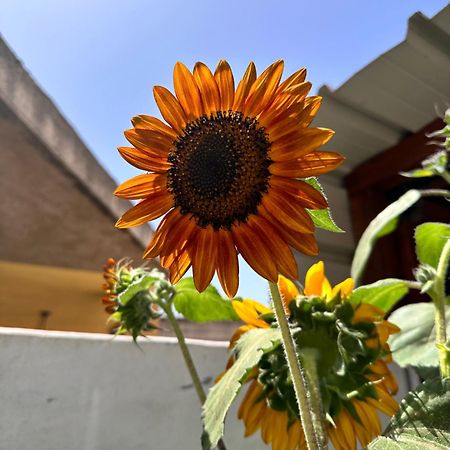 Sa Domu De Cri Villa Giba Kültér fotó