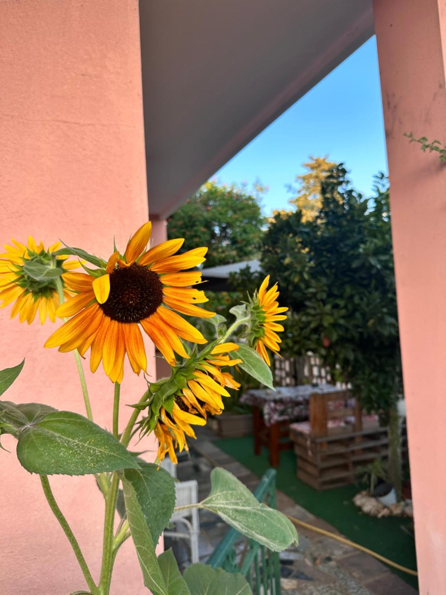 Sa Domu De Cri Villa Giba Kültér fotó